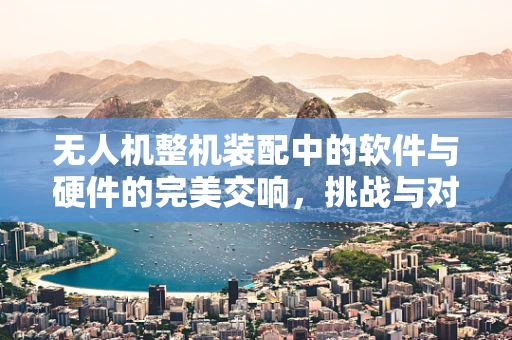 无人机整机装配中的软件与硬件的完美交响，挑战与对策
