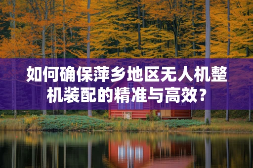 如何确保萍乡地区无人机整机装配的精准与高效？