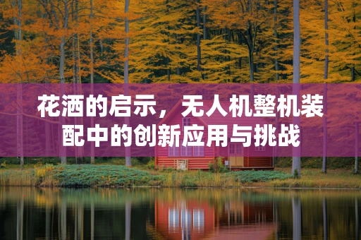 花洒的启示，无人机整机装配中的创新应用与挑战