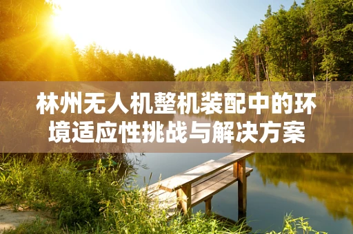 林州无人机整机装配中的环境适应性挑战与解决方案