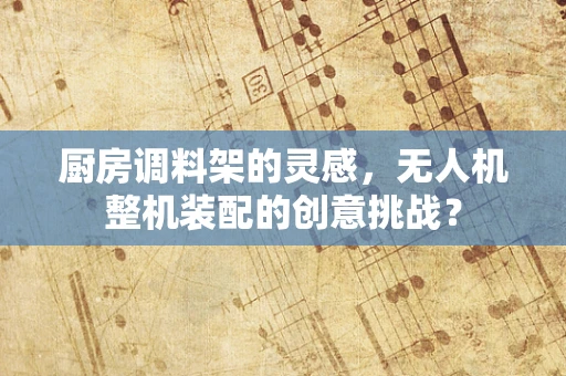 厨房调料架的灵感，无人机整机装配的创意挑战？