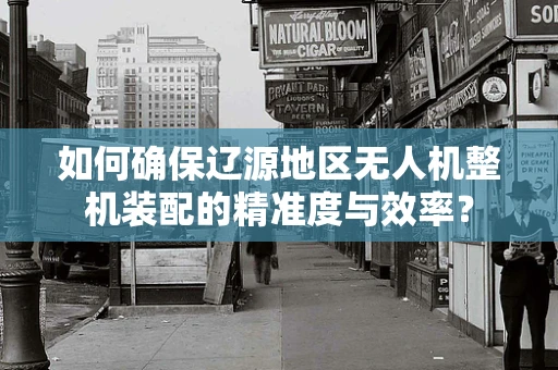如何确保辽源地区无人机整机装配的精准度与效率？