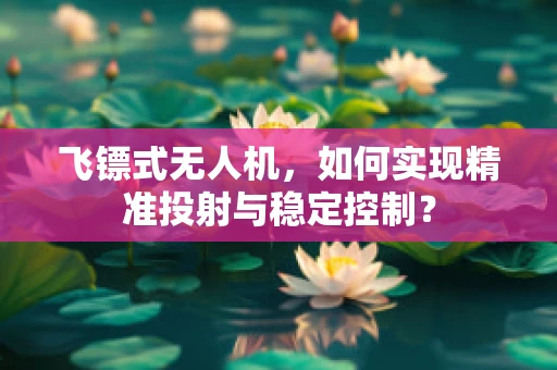 飞镖式无人机，如何实现精准投射与稳定控制？