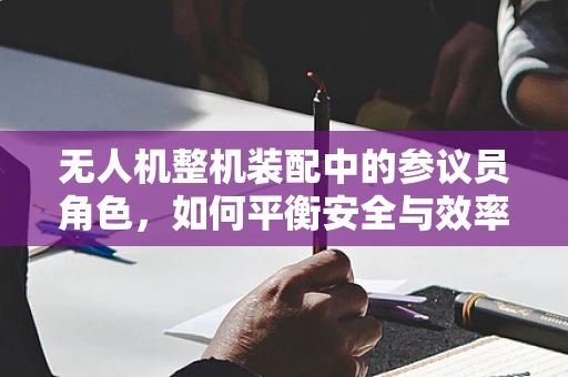 无人机整机装配中的参议员角色，如何平衡安全与效率？