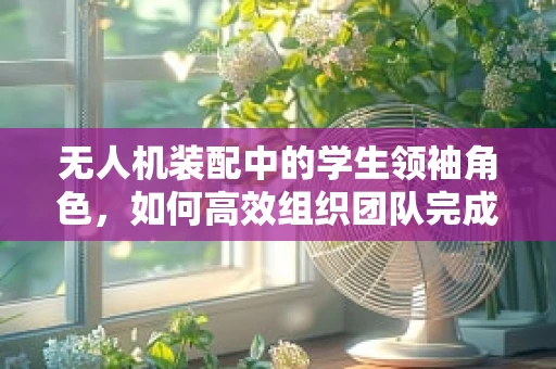 无人机装配中的学生领袖角色，如何高效组织团队完成整机装配？