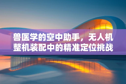 兽医学的空中助手，无人机整机装配中的精准定位挑战