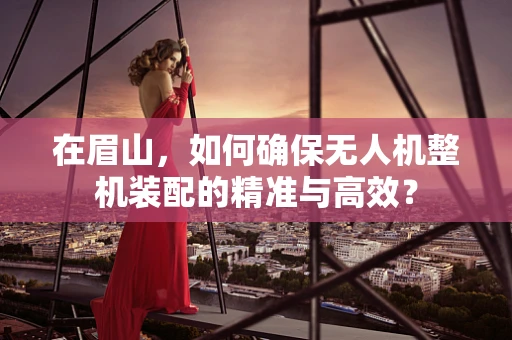 在眉山，如何确保无人机整机装配的精准与高效？