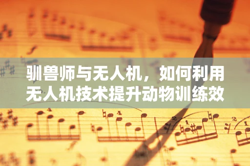 驯兽师与无人机，如何利用无人机技术提升动物训练效率？