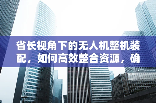 省长视角下的无人机整机装配，如何高效整合资源，确保安全与效率？