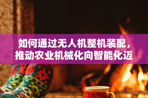 如何通过无人机整机装配，推动农业机械化向智能化迈进？