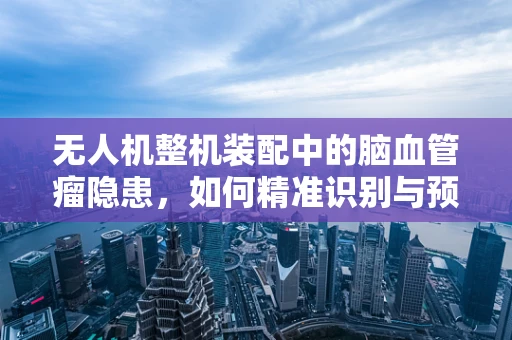 无人机整机装配中的脑血管瘤隐患，如何精准识别与预防？