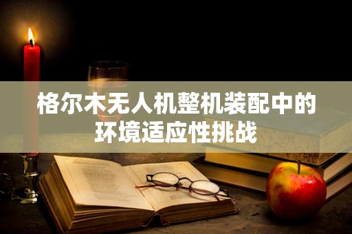 格尔木无人机整机装配中的环境适应性挑战
