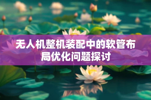 无人机整机装配中的软管布局优化问题探讨