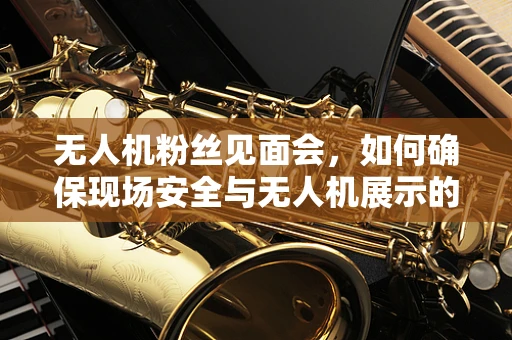 无人机粉丝见面会，如何确保现场安全与无人机展示的完美融合？