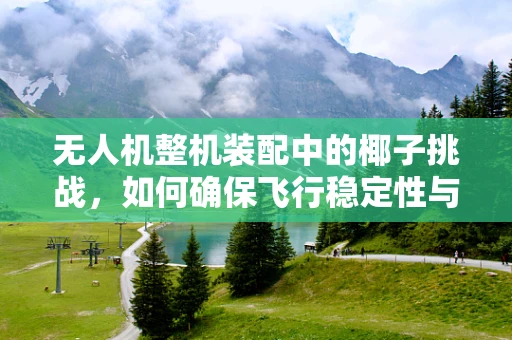 无人机整机装配中的椰子挑战，如何确保飞行稳定性与耐久性？