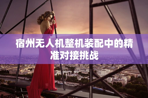 宿州无人机整机装配中的精准对接挑战