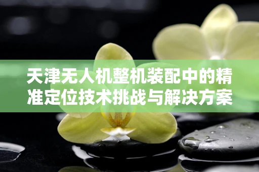 天津无人机整机装配中的精准定位技术挑战与解决方案