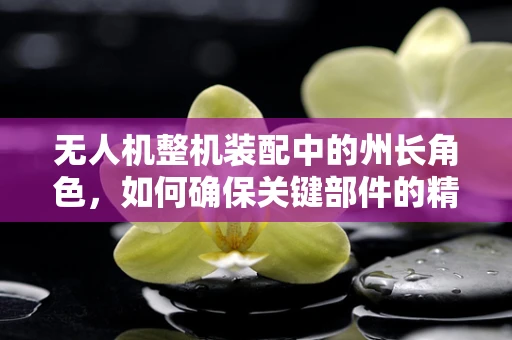 无人机整机装配中的州长角色，如何确保关键部件的精准对接？