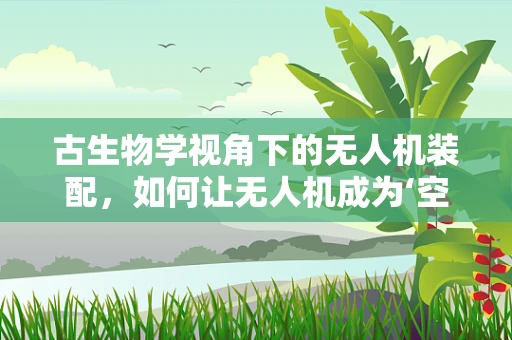 古生物学视角下的无人机装配，如何让无人机成为‘空中化石猎人’？