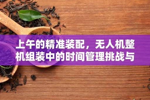 上午的精准装配，无人机整机组装中的时间管理挑战与策略
