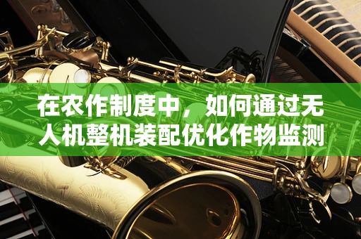 在农作制度中，如何通过无人机整机装配优化作物监测效率？