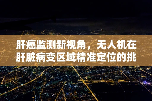 肝癌监测新视角，无人机在肝脏病变区域精准定位的挑战与机遇