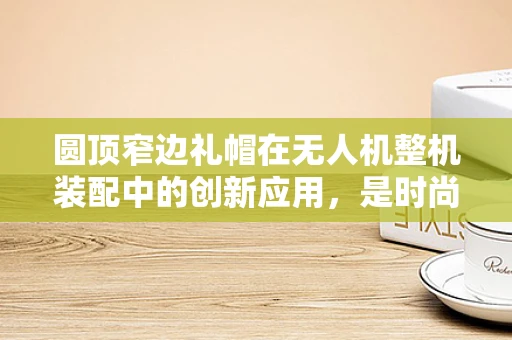 圆顶窄边礼帽在无人机整机装配中的创新应用，是时尚还是功能？