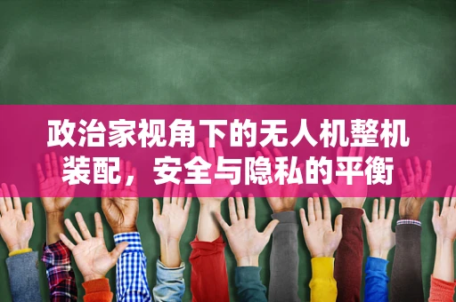 政治家视角下的无人机整机装配，安全与隐私的平衡