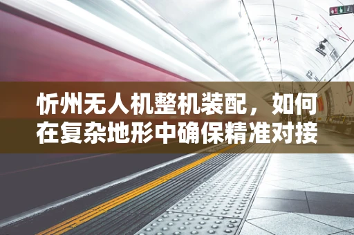 忻州无人机整机装配，如何在复杂地形中确保精准对接？