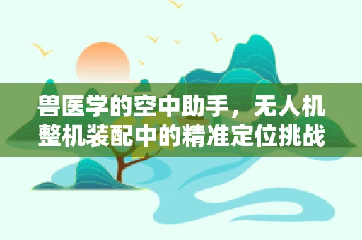 兽医学的空中助手，无人机整机装配中的精准定位挑战