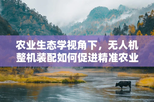 农业生态学视角下，无人机整机装配如何促进精准农业的绿色实践？