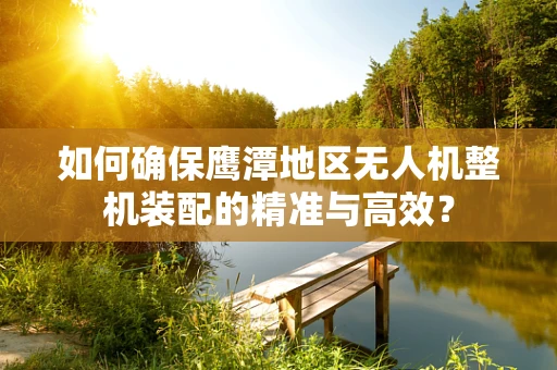 如何确保鹰潭地区无人机整机装配的精准与高效？