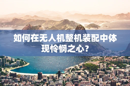 如何在无人机整机装配中体现怜悯之心？