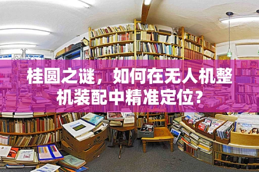 桂圆之谜，如何在无人机整机装配中精准定位？