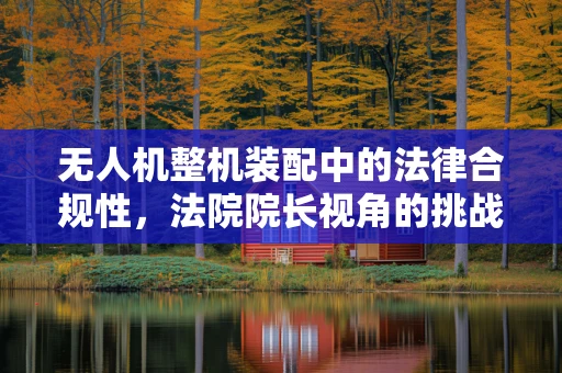 无人机整机装配中的法律合规性，法院院长视角的挑战与解决方案