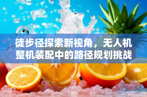 徒步径探索新视角，无人机整机装配中的路径规划挑战