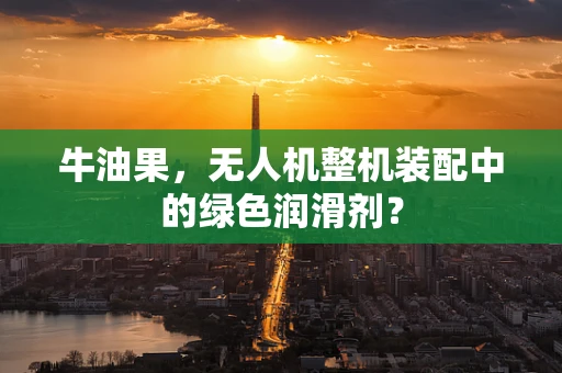 牛油果，无人机整机装配中的绿色润滑剂？