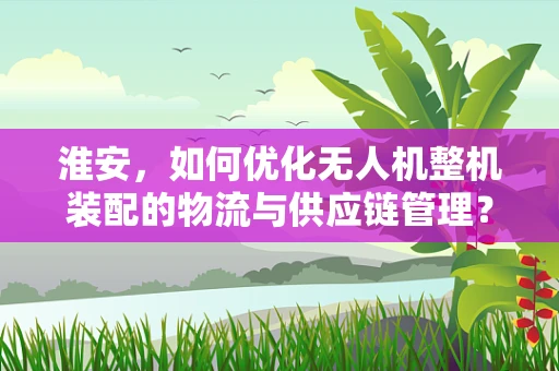 淮安，如何优化无人机整机装配的物流与供应链管理？