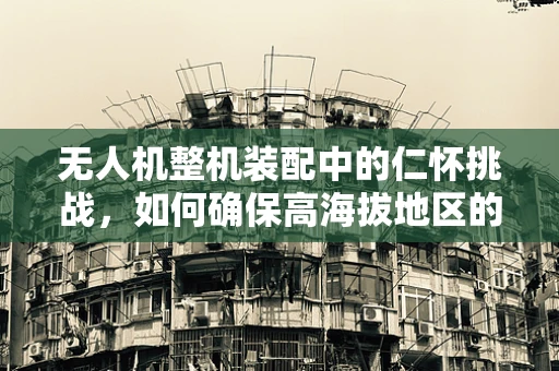 无人机整机装配中的仁怀挑战，如何确保高海拔地区的稳定飞行？