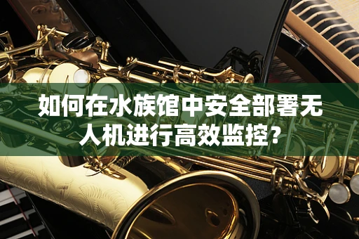 如何在水族馆中安全部署无人机进行高效监控？