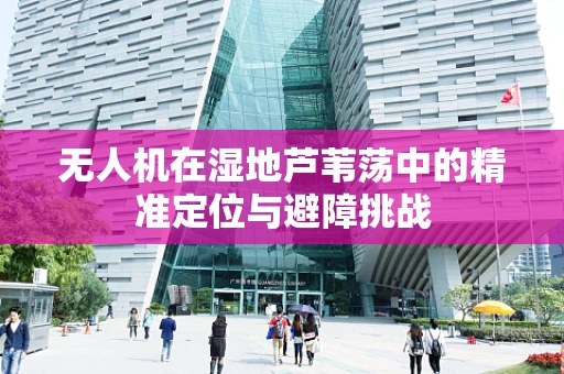 无人机在湿地芦苇荡中的精准定位与避障挑战