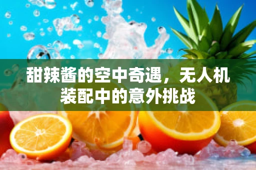 甜辣酱的空中奇遇，无人机装配中的意外挑战