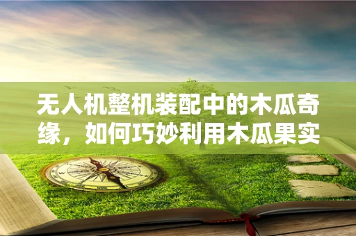 无人机整机装配中的木瓜奇缘，如何巧妙利用木瓜果实现轻量化与稳定性？
