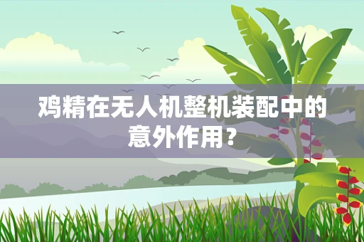鸡精在无人机整机装配中的意外作用？