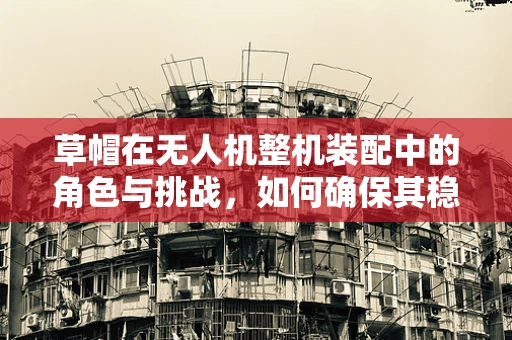 草帽在无人机整机装配中的角色与挑战，如何确保其稳固性与轻量化？