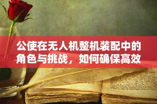 公使在无人机整机装配中的角色与挑战，如何确保高效协同与安全？