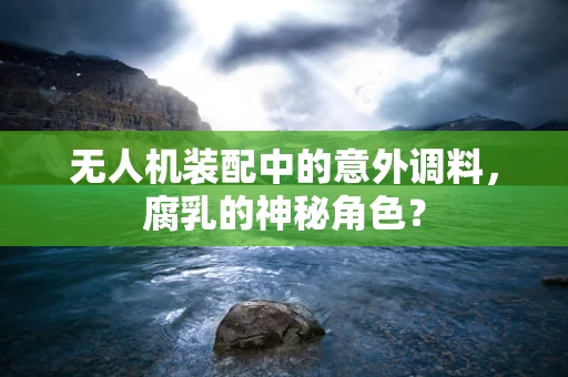 无人机装配中的意外调料，腐乳的神秘角色？