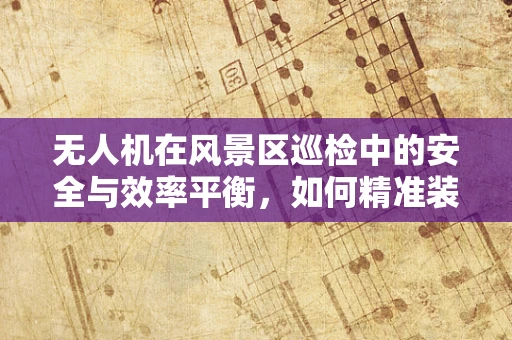无人机在风景区巡检中的安全与效率平衡，如何精准装配以应对复杂地形？