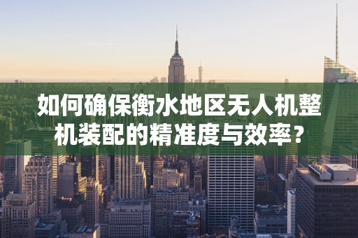 如何确保衡水地区无人机整机装配的精准度与效率？