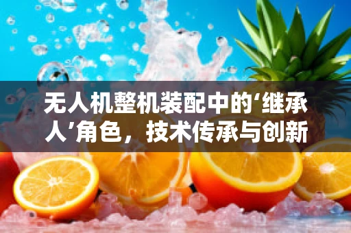 无人机整机装配中的‘继承人’角色，技术传承与创新的平衡
